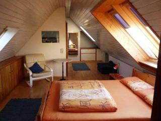 Freiburg Citywohnung - Freiburg im Breisgau - 3