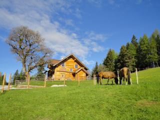 Ferienhaus Bichlhütte - Pruggern - 5