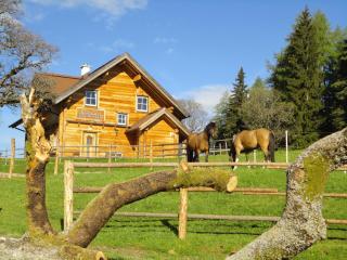Ferienhaus Bichlhütte - Pruggern - 4