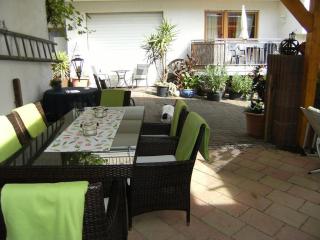 Bio-Ferienweingut Leyendecker - Kattenes - 4
