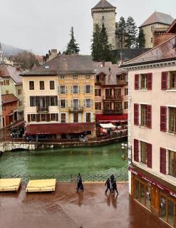 Le Roseau - en plein coeur historique - Annecy - 5