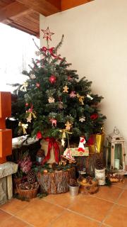 Leśny Dworek Zakopane - 3