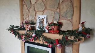 Leśny Dworek Zakopane - 1