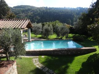 Fattoria Casamora - Villa Le Magnolie - 9
