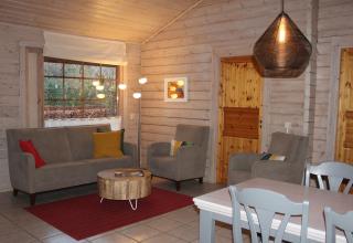 Chalet Nieuw Beusink - Winterswijk - 9