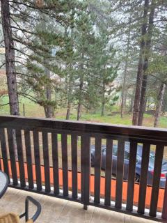 Apartmani Lotos - Kaludjerske Bare - 2