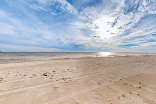 Sea Y'all - Dauphin Island - 2