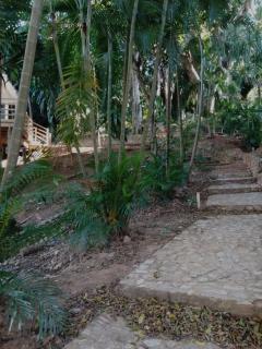 Casa Poco Loco - Villa at Luna Beach Roatan - Roatán - 2