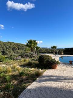 Le clos sainte Marie - Roquefort Les Pins - 5