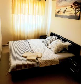 Royal Panorama Apartman - Sokobanja - 3