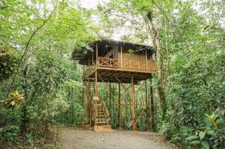 Tree Houses Hotel Costa Rica - Florencia - 2