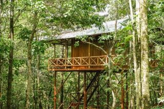 Tree Houses Hotel Costa Rica - Florencia - 3