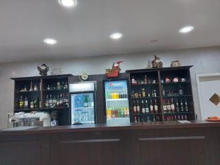 Teju Hotels - Slănic - 8