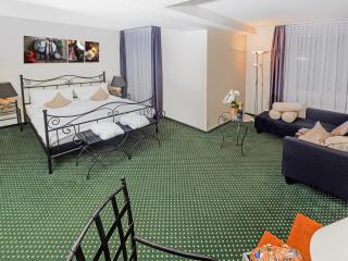Hotel Rhyhof - Frauenfeld - 4