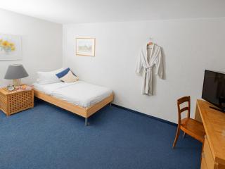 Hotel Rhyhof - Frauenfeld - 7