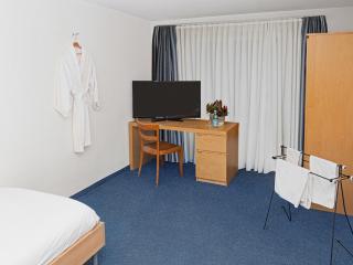 Hotel Rhyhof - Frauenfeld - 9