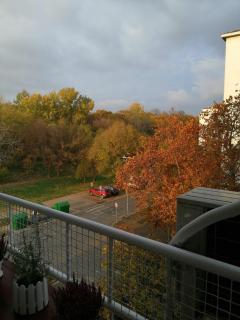 Star Apartment Belgrade - Belgrado - 3