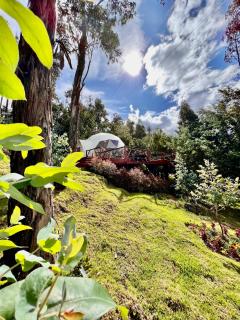 Golden Glamping - Guatavita - 1