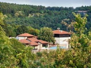 Hotel Villa Kaylaka - Pleven - 0