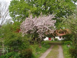 Mariehem Logi - 6