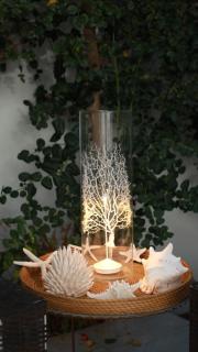 La brise de Carthage: Earthly paradise - 4