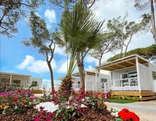 Anxur Village Camping - Terracina - 4