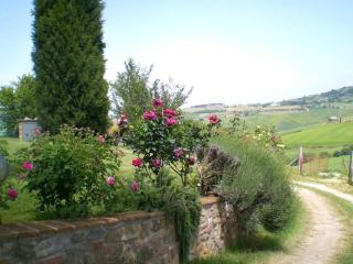 Agriturismo La Creta - Montepulciano - 4