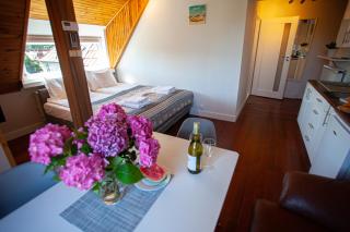 Apartamenty Sopockie 26 , przy plaży , klimatyzacja - Sopot - 1