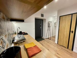 Przestronny apartament w centrum miasta - Radom - 5