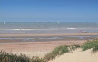 Goudstrand - 5