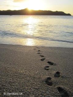 Bougainvillea 4315 Ph- Luxury 3 Bedroom Ocean View Resort Condo - 5