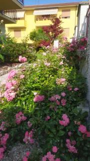 Al Casale B&B - Casalserugo - 1