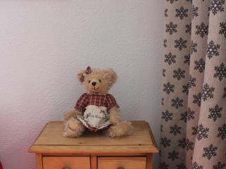 Charmant 2 pièces 4 pers exposé SE avec terrasse à Valloire, proche remontées et commerces - FR-1-263-45 - 6