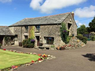 Courtyard Farm Cottages - Boscastle - 5