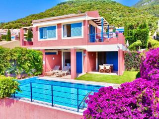 Villa Barbati Pelagos with private pool by DadoVillas - Barbati - 3