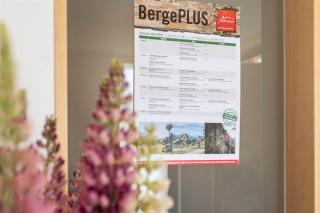 Haus Barbara - Sankt Gallenkirch - 7