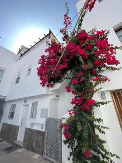 Apartamento La Ola - Conil de la Frontera - 9