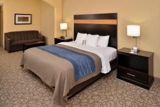 Comfort Inn & Suites at Stone Mountain - 7