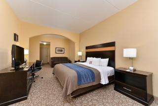 Comfort Inn & Suites at Stone Mountain - 4