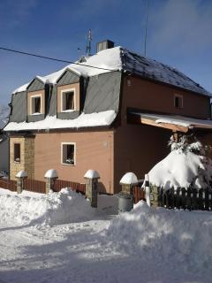 Pension H.Blatná - 3