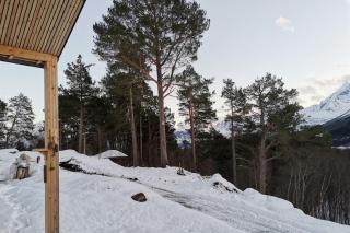 Huset ved skogen - Isfjorden - 1