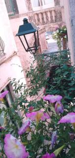 Tappa a Bitonto - Bitonto - 6