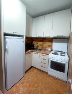 Apartman Maslina - Podgorica - 6