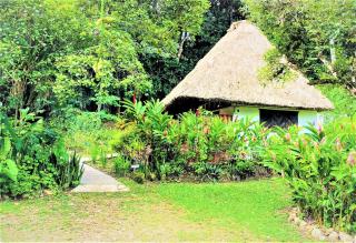 Maya Mountain Lodge - 1
