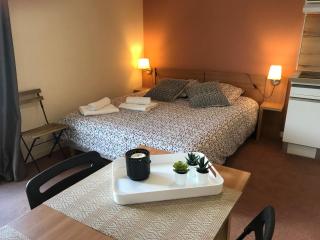 La Féclaz Ski aux pieds Grand Studio Tout confort - 9