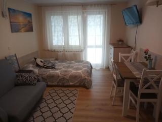 Apartament Krynica Morska - Krynica Morska - 1