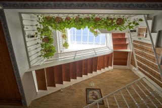 Casa Pureza - Sevilla - 9
