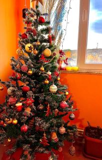 Chic& cosy house with Kars Panorama - Kars - 3