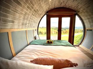 Rabbits View - 5