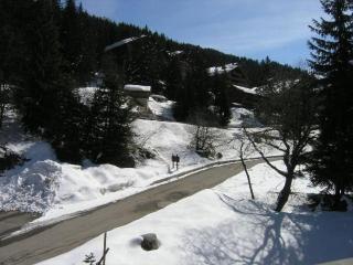 Appartement en montagne, 4 pers, proche des pistes et commerces, animaux acceptés, balcon, casier à skis - FR-1-180-73 - Méribel - 8